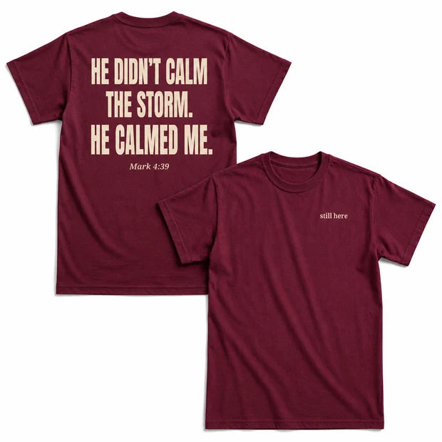 He Didn't Calm The Storm He Calmed Me T-Shirt, Christian Faith Bible Verse Shirt