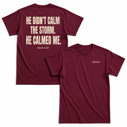He Didn't Calm The Storm He Calmed Me T-Shirt, Christian Faith Bible Verse Shirt