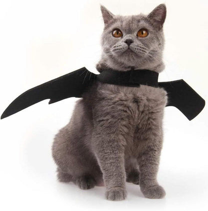 Halloween Bat Wings Costume for Cats and Small Dogs