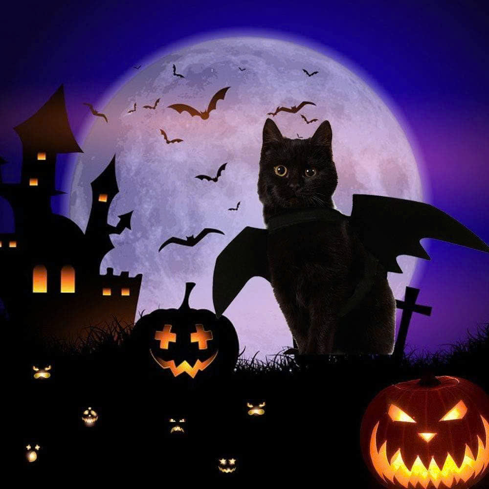 Halloween Bat Wings Costume for Cats and Small Dogs