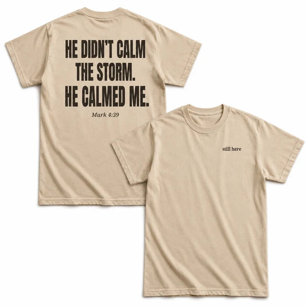 He Didn't Calm The Storm He Calmed Me T-Shirt, Christian Faith Bible Verse Shirt
