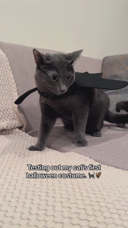 Halloween Bat Wings Costume for Cats and Small Dogs