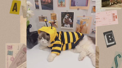 Cute Bumble Bee Pet Hoodie Costume with Bendable Antennae & Leash Hook