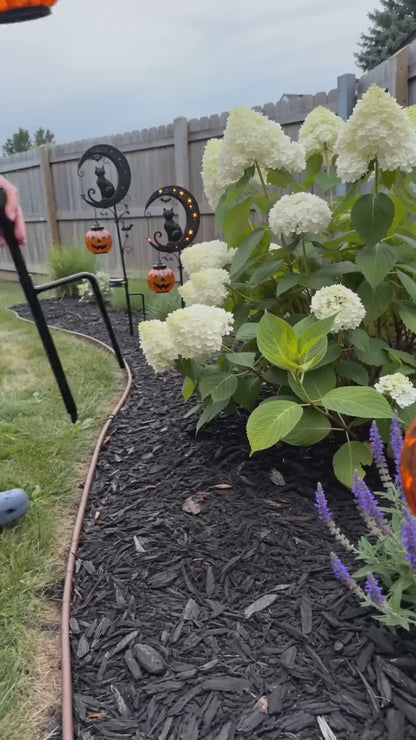 Solar Halloween Pathway Lights - Black Cat & Pumpkin Decor