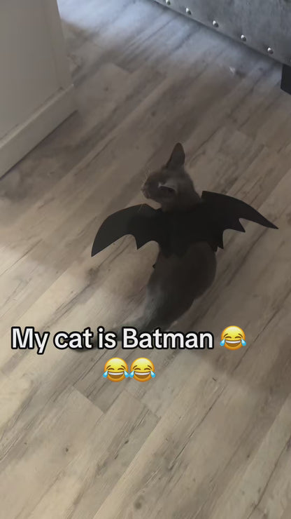 Halloween Bat Wings Costume for Cats and Small Dogs