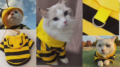 Cute Bumble Bee Pet Hoodie Costume with Bendable Antennae & Leash Hook