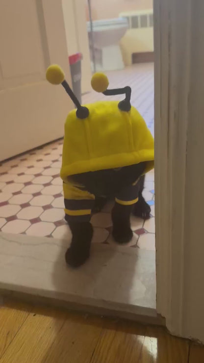 Cute Bumble Bee Pet Hoodie Costume with Bendable Antennae & Leash Hook