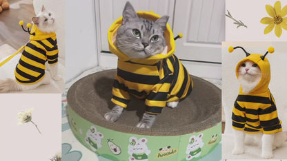 Cute Bumble Bee Pet Hoodie Costume with Bendable Antennae & Leash Hook