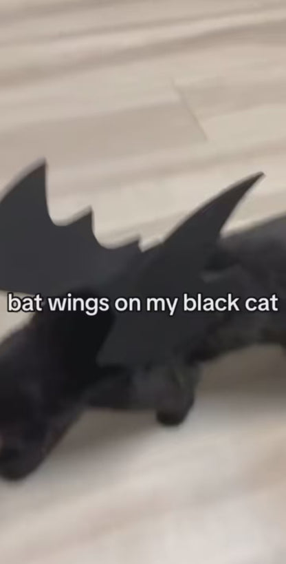 Halloween Bat Wings Costume for Cats and Small Dogs